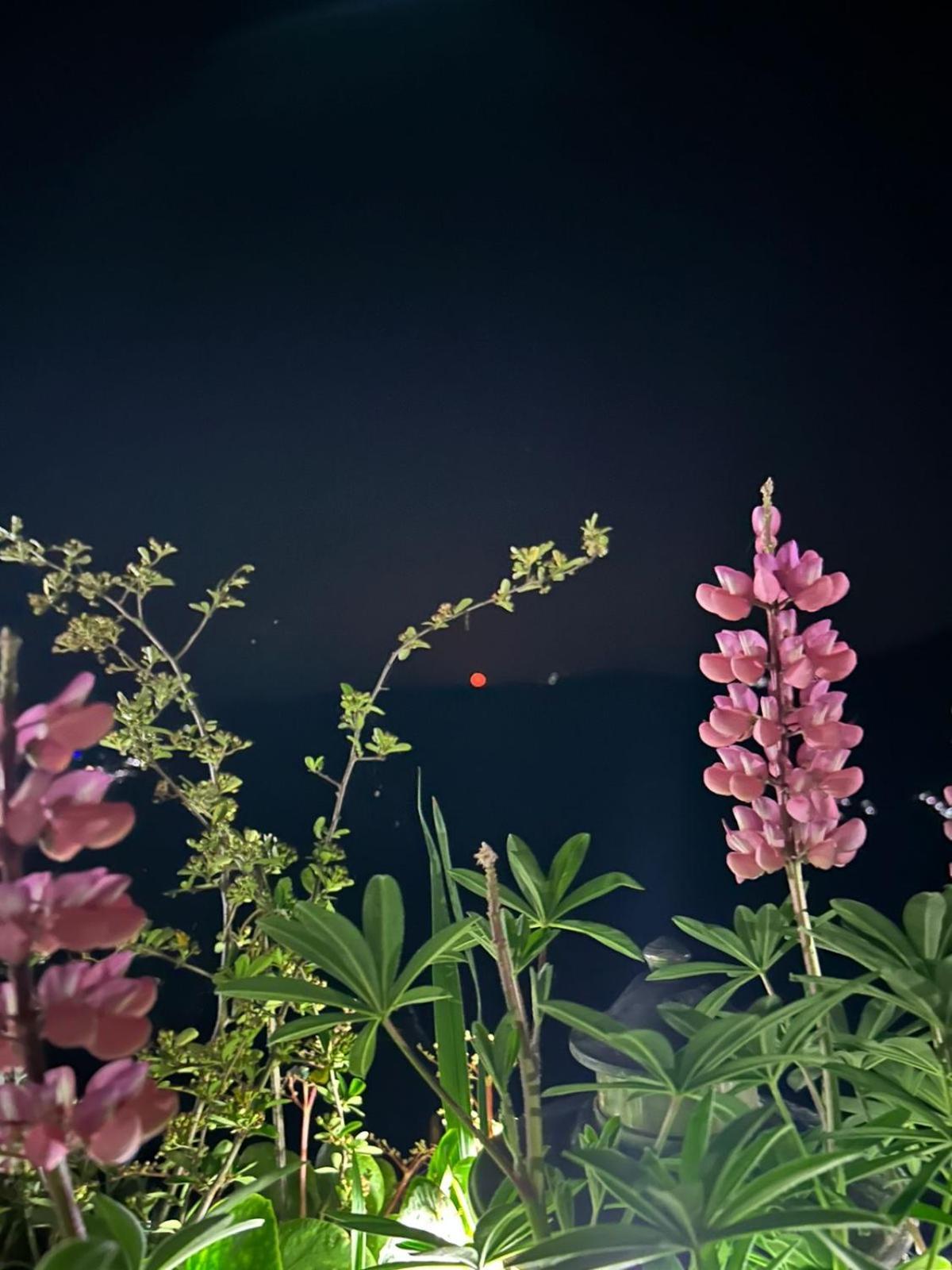 Murmincho Homestay Darjeeling  Exteriör bild